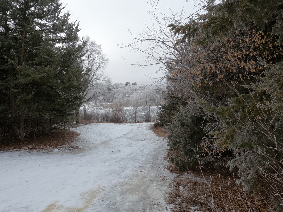 Icy Hill at Cottonmill Park